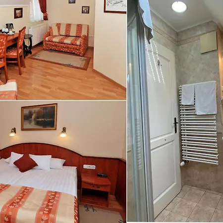 فندق مبيت وإفطار Patria Panzio إغير